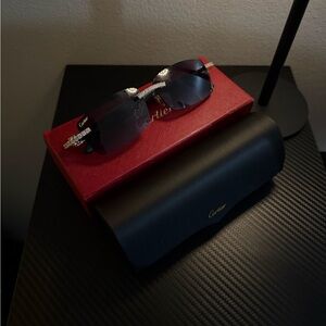 Cartier Men's Dark Gradient Lens Sunglasses with Crystal-Trim Temples